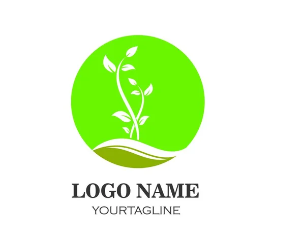 Bitki Logosu Simgesi Vektör Illüstrasyon Tasarım Şablonu — Stok Vektör