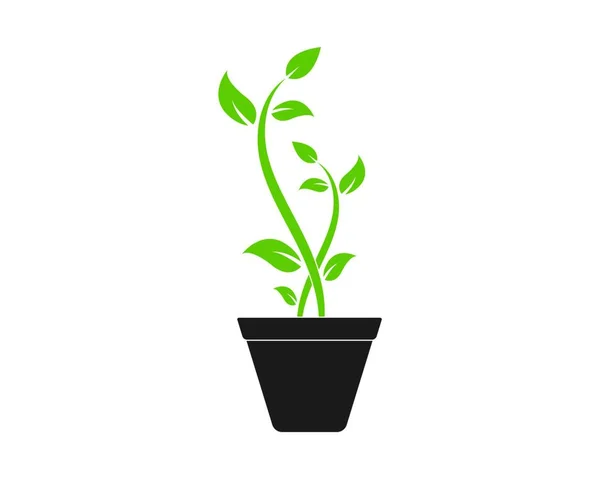 Planta Logotipo Icono Vector Ilustración Diseño Plantilla — Vector de stock