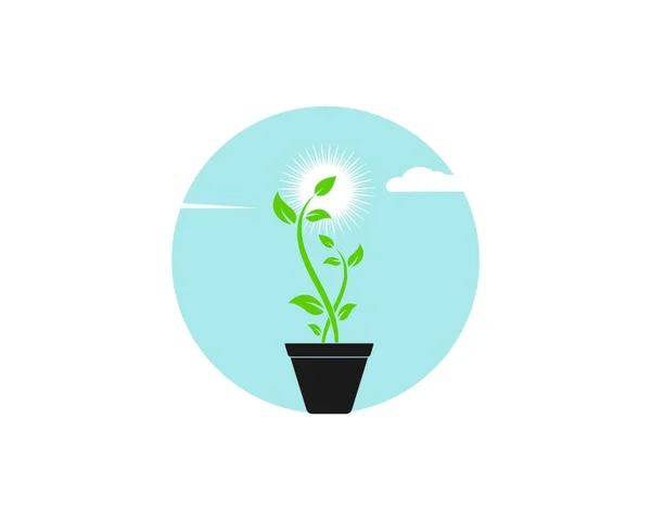 Planta Logotipo Icono Vector Ilustración Diseño Plantilla — Vector de stock