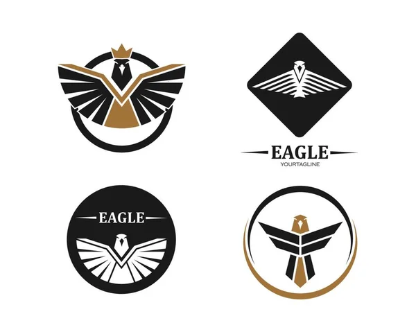 Falcão Águia Logotipo Ícone Vetor Ilustração Design Modelo —  Vetores de Stock