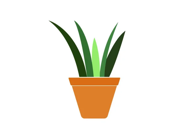 Φυτό Γλάστρα Διανυσματικό Πρότυπο Σχεδιασμού — Διανυσματικό Αρχείο