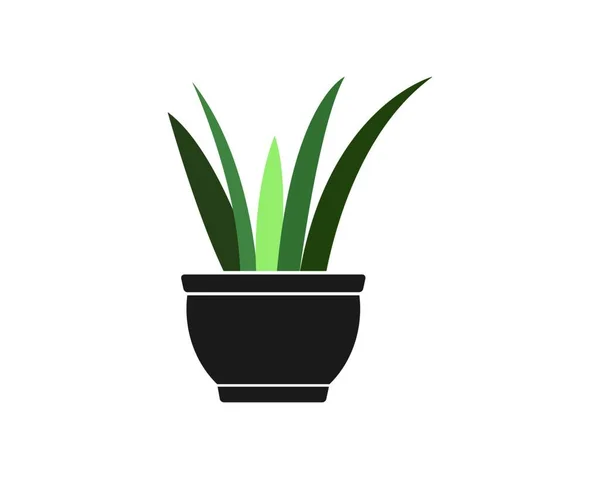 Planta Maceta Ilustración Vector Plantilla Diseño — Archivo Imágenes Vectoriales