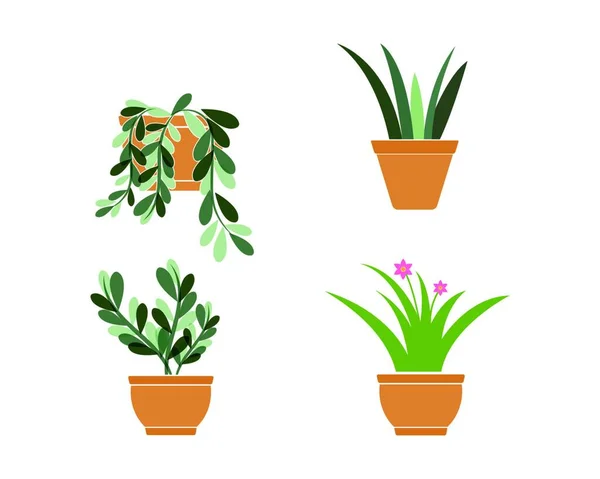 Plante Pot Illustration Vectoriel Modèle Conception — Image vectorielle