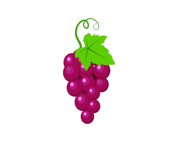 Druiven Met Blad Pictogram Vector Illustratie Template — Stockvector