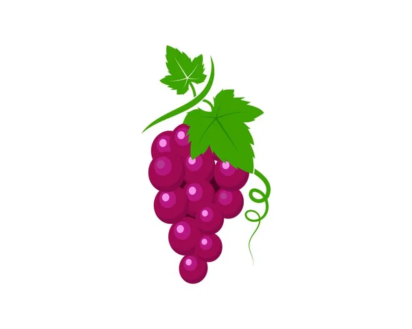 Traubenfrüchte Mit Blattsymbol Vektor Illustrationsvorlage — Stockvektor