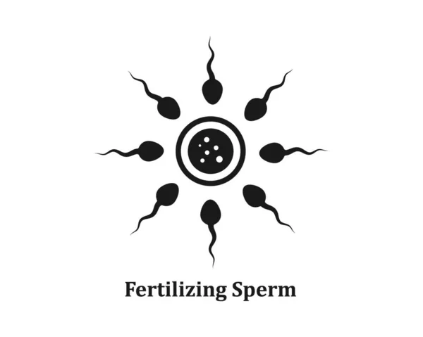 Spermie Logo Vektor Ilustrace Šablona Návrhu — Stockový vektor