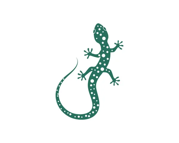 Ikona Vektora Loga Gecko Šablona Obrázku — Stockový vektor