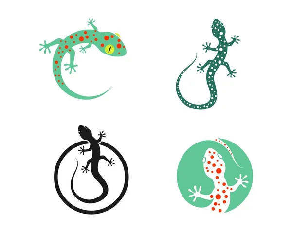 Шаблон Ілюстрації Логотипу Gecko Векторні Ілюстрації — стоковий вектор