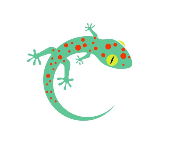 Gecko Logo Vektor Ikon Illustration Mall — Stock vektor