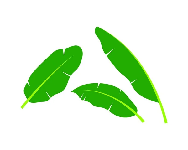 Banana Leaves Vector Icon Illustration Design — Stock Vector