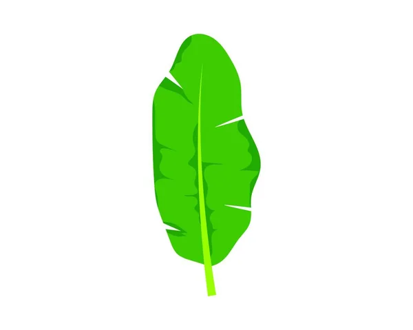 Banana Leaves Vector Icon Illustration Design — Stock Vector