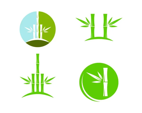 Bambus Zeleným Listem Pro Šablonu Vektoru Loga — Stockový vektor