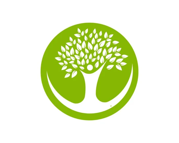Árbol Genealógico Logotipo Plantilla Vector Ilustración Diseño — Vector de stock