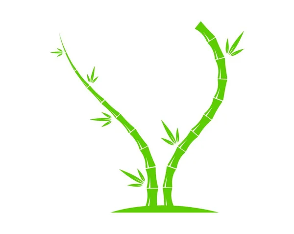 Bambú Con Hoja Verde Para Logotipo Icono Plantilla Vector — Vector de stock