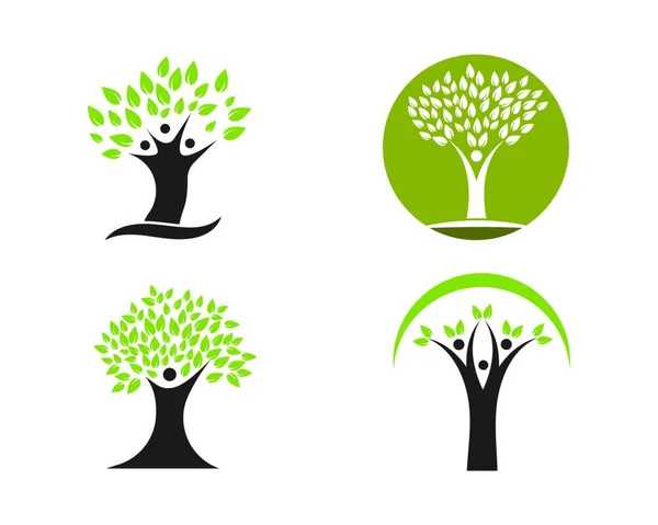 Aile Ağacı Logosu Şablon Vektör Illüstrasyon Tasarımı — Stok Vektör