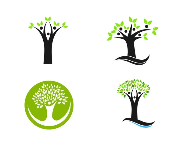 Árbol Genealógico Logotipo Plantilla Vector Ilustración Diseño — Vector de stock