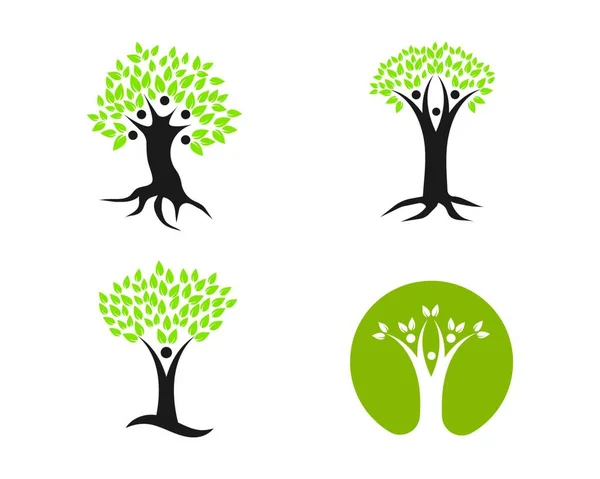 Árbol Genealógico Logotipo Plantilla Vector Ilustración Diseño — Vector de stock