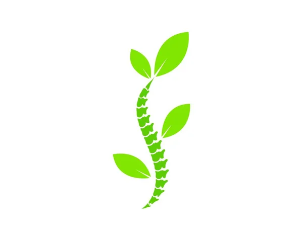 Omurga Teşhis Logo Simgesi Şablon Vektör Illüstrasyon Tasarımı — Stok Vektör
