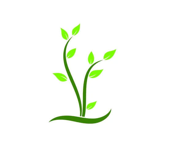 Planta Icono Logotipo Vector Ilustración Diseño Plantilla — Archivo Imágenes Vectoriales