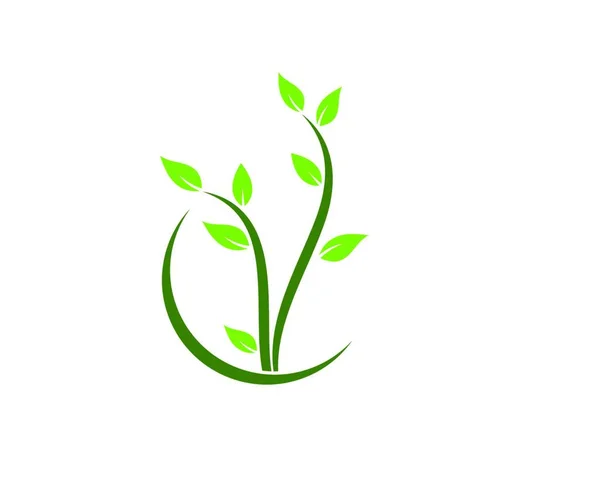 Рослина Значок Логотип Векторна Ілюстрація Шаблон Дизайну — стоковий вектор