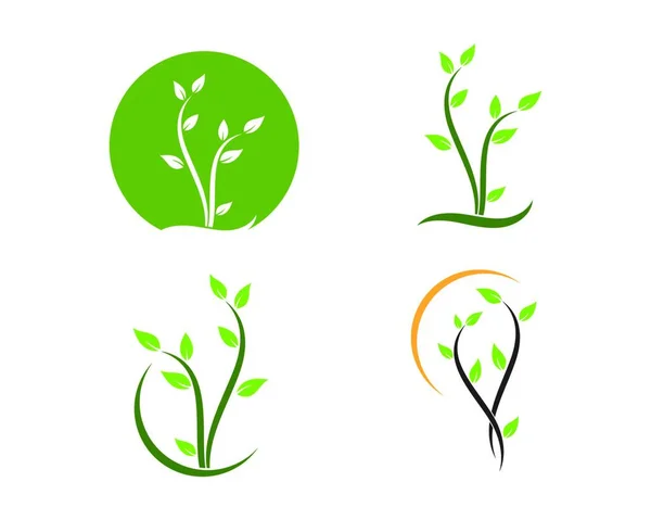 Bitki Simgesi Logo Vektör Illüstrasyon Tasarım Şablonu — Stok Vektör