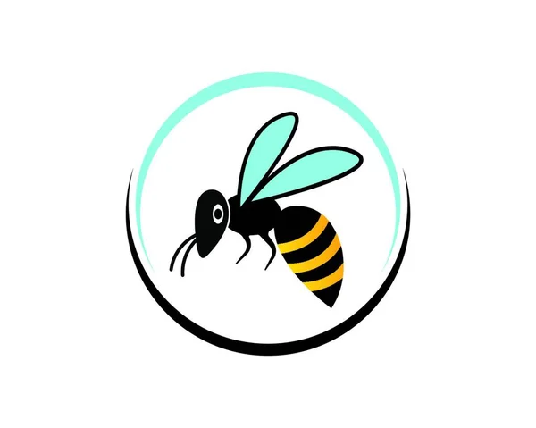 Miele Bee Logo Modello Icona Vettoriale Illustrazione Design — Vettoriale Stock