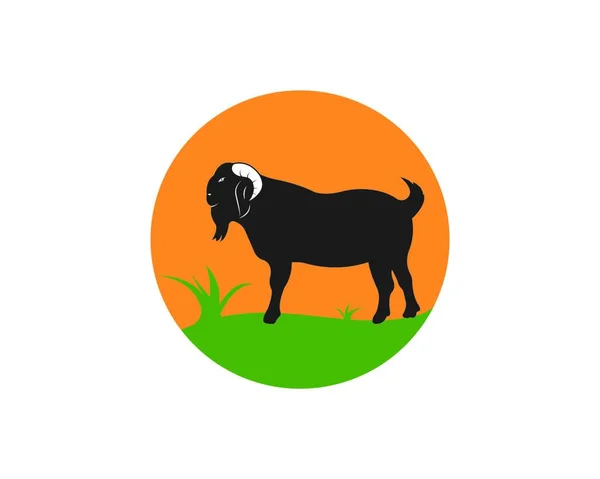 Geit Logo Sjabloon Vector Illustrtion Ontwerp — Stockvector