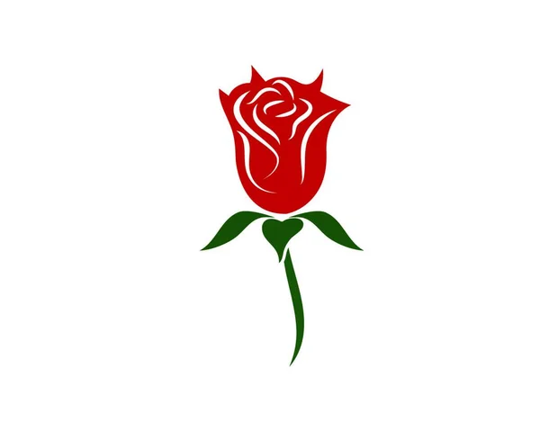 Квітка Троянди Логотип Векторний Дизайн Шаблону — стоковий вектор