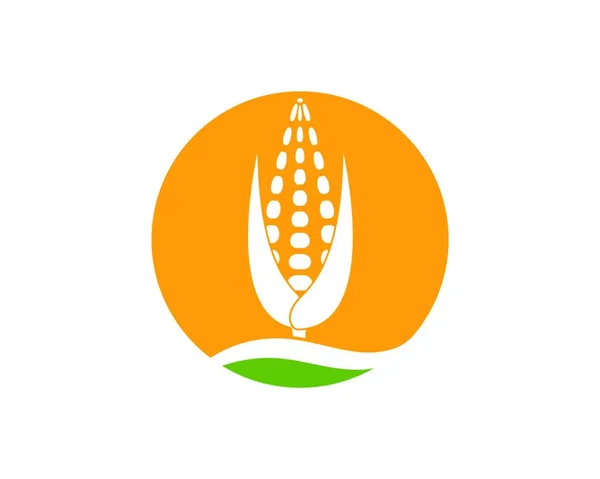 Шаблон Дизайна Иконок Кукурузы — стоковый вектор
