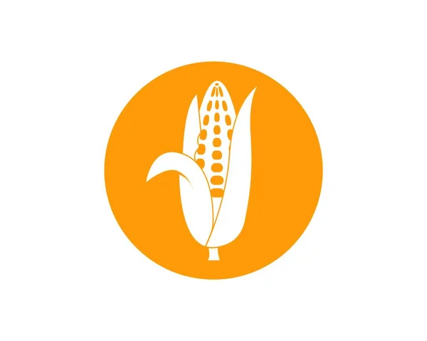 Ikona Ilustracja Kukurydza Projekt Szablon Wektor — Wektor stockowy