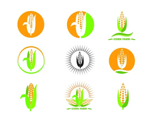 Kukorica Vektor Ikon Illusztráció Tervezősablon — Stock Vector