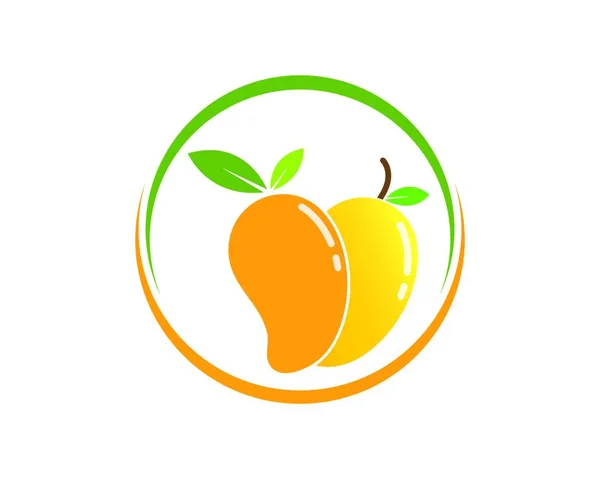 Mango Fruit Vector Illustration Logo Icon — Stock Vector