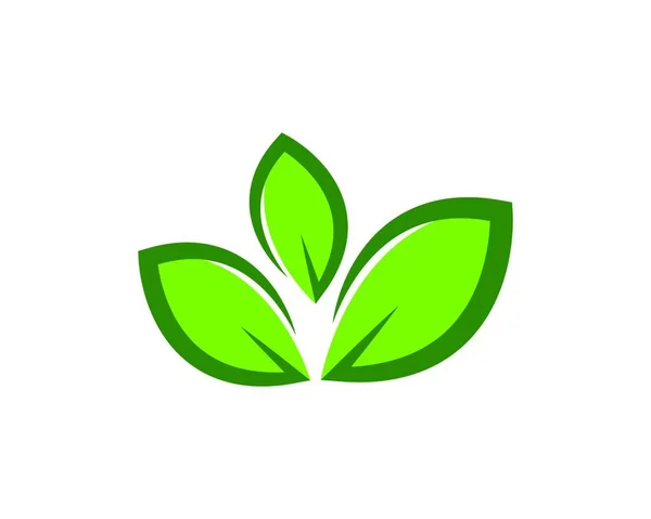 Vert Feuille Écologie Élément Nature Vecteur Icône Green Design — Image vectorielle