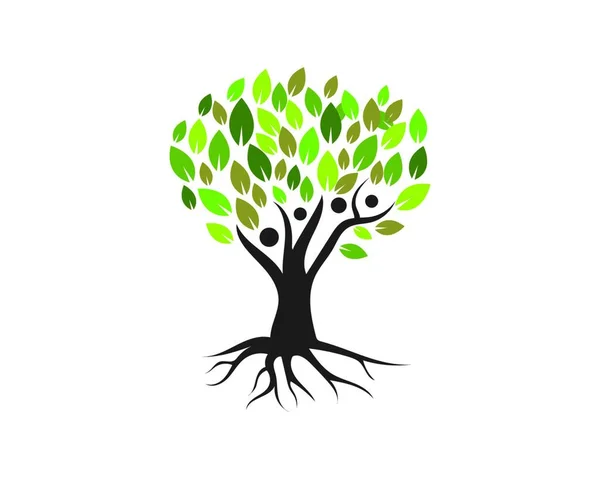 Árbol Genealógico Logotipo Plantilla Vector Ilustración — Vector de stock