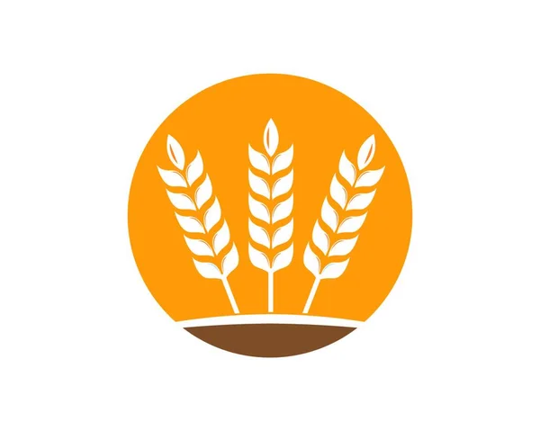Agricultura Logotipo Trigo Modelo Vetor Ícone Design — Vetor de Stock