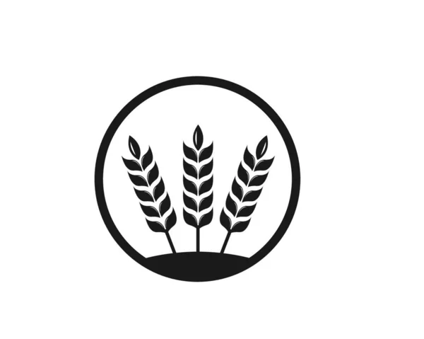 Agricultura Trigo Logotipo Plantilla Vector Icono Diseño — Vector de stock