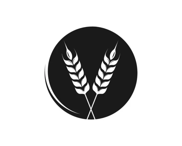 Agricultura Trigo Logotipo Plantilla Vector Icono Diseño — Archivo Imágenes Vectoriales