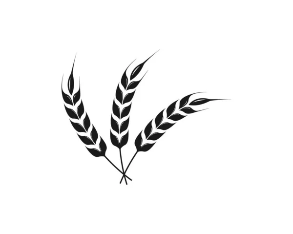 Landwirtschaft Weizen Logo Vorlage Vektor Icon Design — Stockvektor