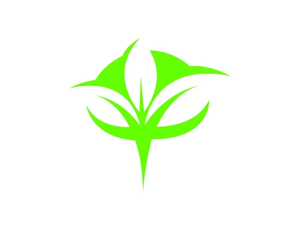 Logotipos Ecología Hoja Verde Naturaleza Elemento Vector Icono — Archivo Imágenes Vectoriales