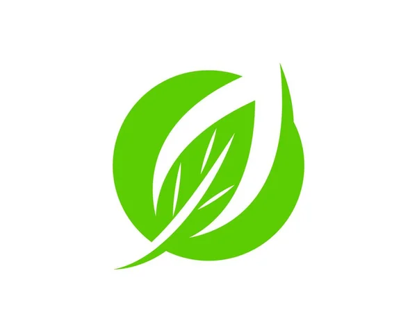 Logotipos Ecología Hoja Verde Naturaleza Elemento Vector Icono — Archivo Imágenes Vectoriales