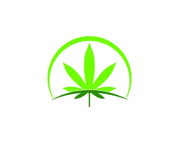 Cannabis Hoja Vector Icono Ilustración Diseño Plantilla — Archivo Imágenes Vectoriales