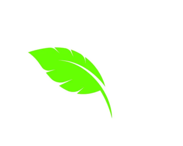 Logotipos Ecología Hoja Verde Naturaleza Elemento Vector Icono — Archivo Imágenes Vectoriales