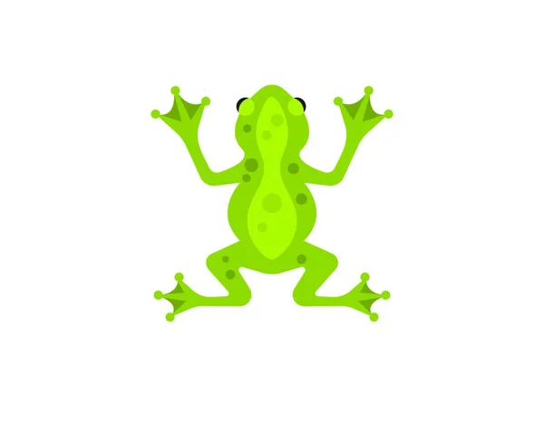 カエルのロゴテンプレートベクトルイラストデザイン — ストックベクタ