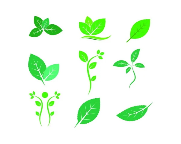 緑の葉の生態系の自然要素ベクトルのアイコン — ストックベクタ