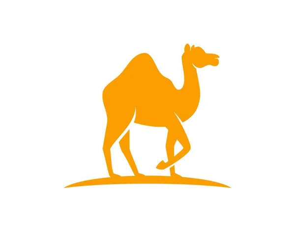 Camello Pie Desierto — Vector de stock