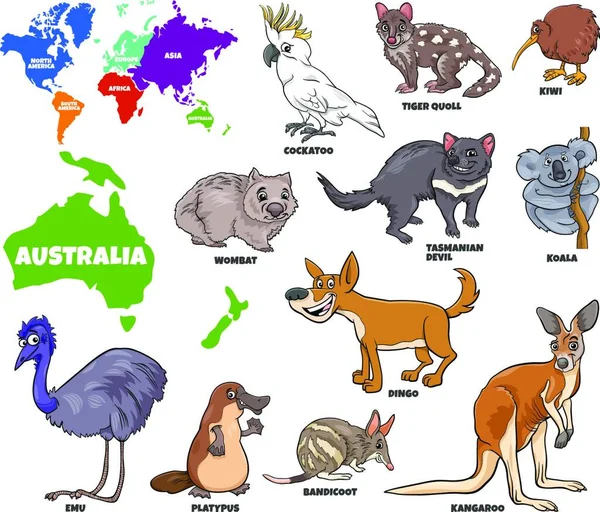 Educatieve Cartoon Illustratie Van Australische Dieren Set Wereldkaart Met Continenten — Stockvector