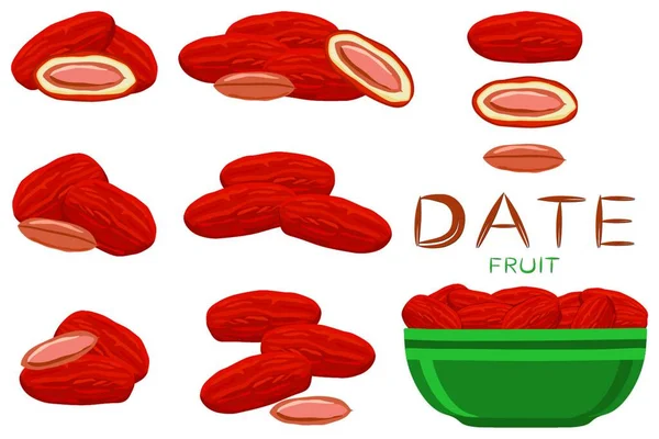 插图的主题大彩色设置不同类型的日期水果的健康生活 日期水果模式包括在健康的生活方式收集配件 水果枣是象征健康的一餐 — 图库矢量图片