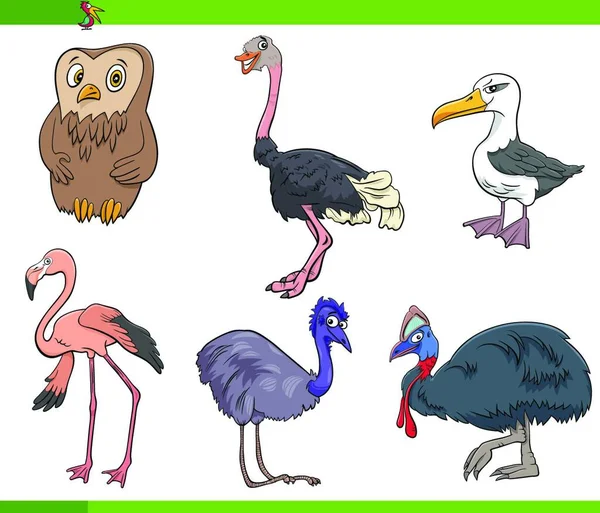 Мультфильм Иллюстрация Видов Птиц Набор Персонажей Животных — стоковый вектор