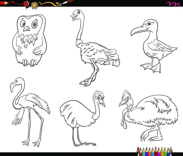 Illustration Dessins Animés Noir Blanc Oiseaux Espèces Personnages Animaux Coloriage — Image vectorielle