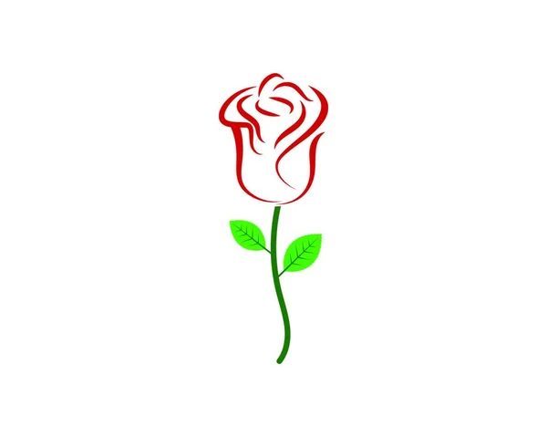 Rose Flower Logo Vector Template Design — Stock Vector